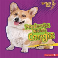 Pembroke_Welsh_Corgis
